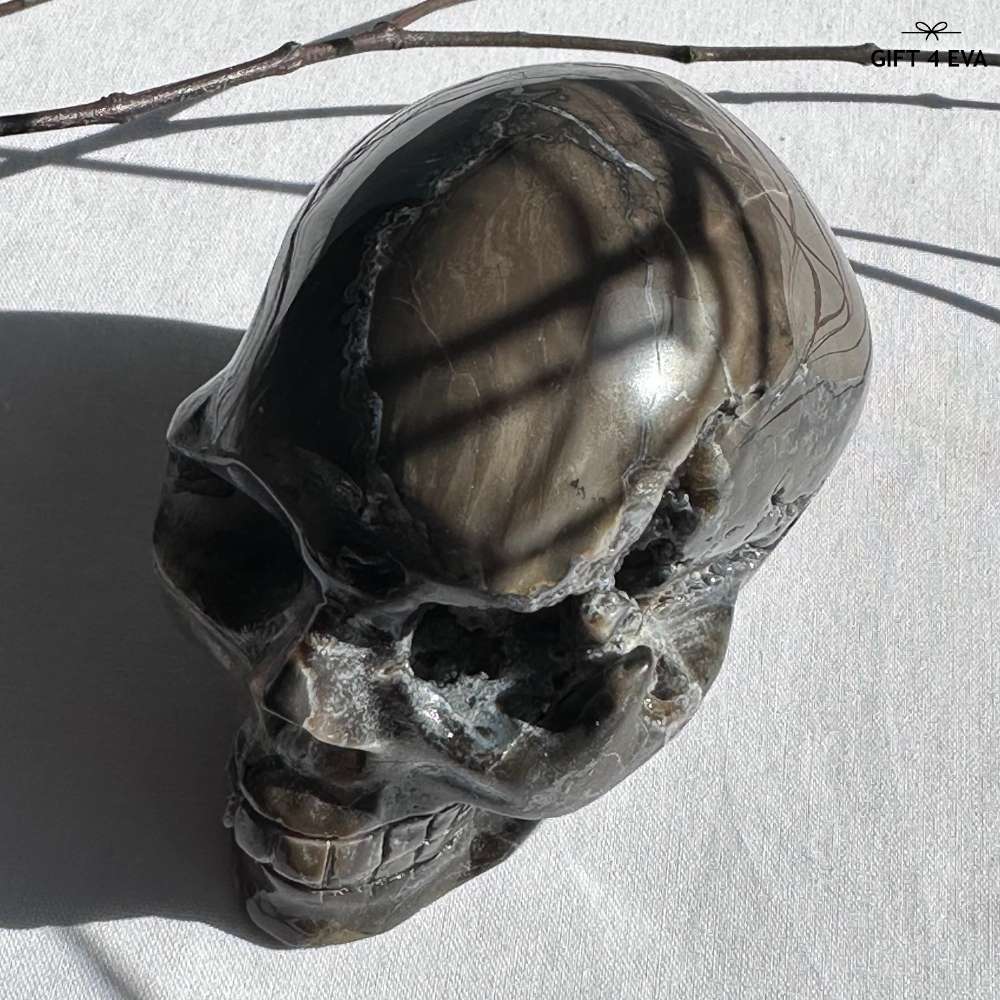 Volcanic Agate Skull