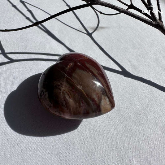 Petrified Wood Puffy Heart