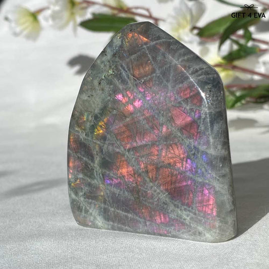 Labradorite Free Form 257G