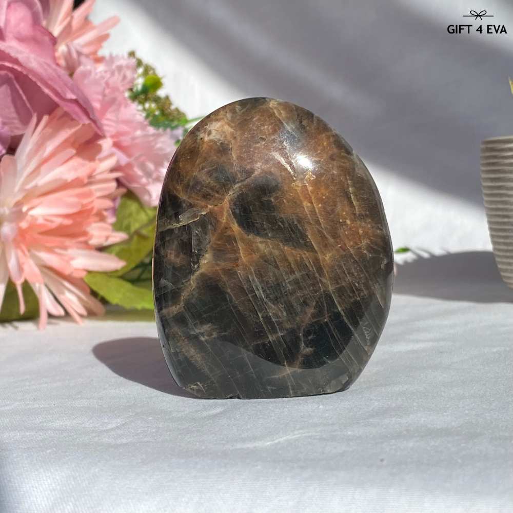 Black Moonstone Free Form