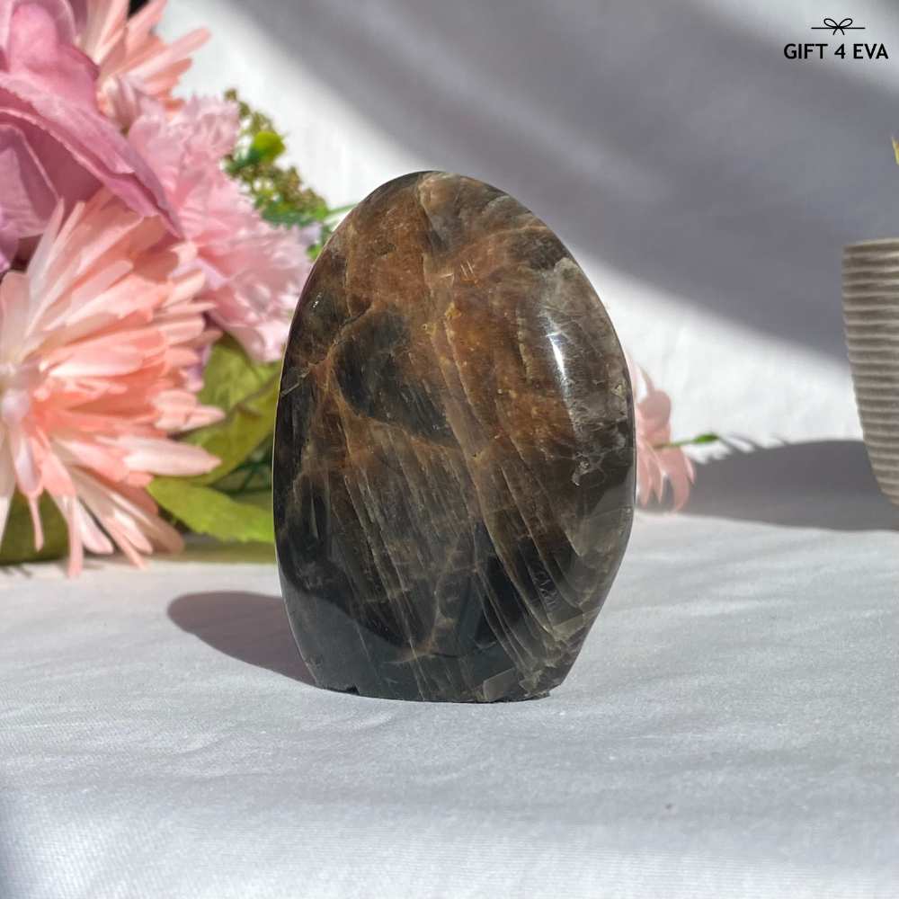 Black Moonstone Free Form