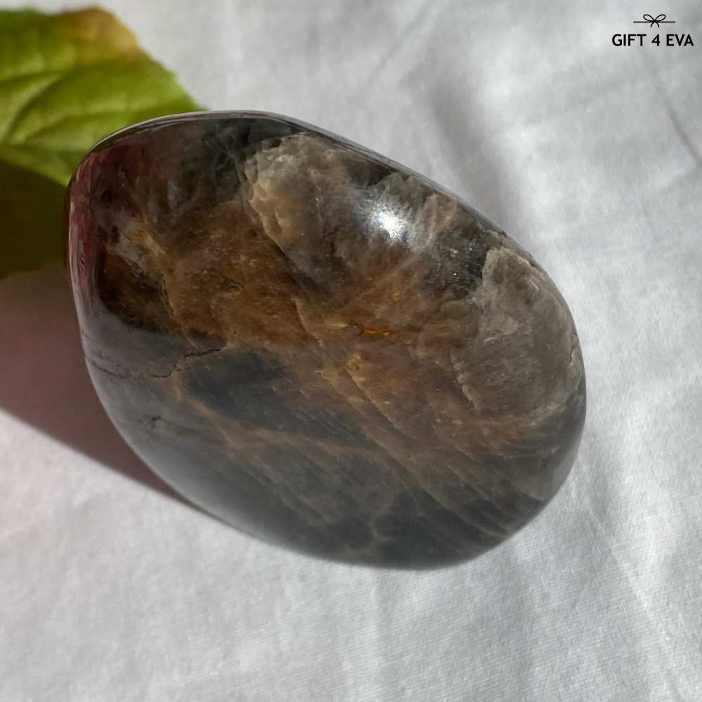 Black Moonstone Free Form