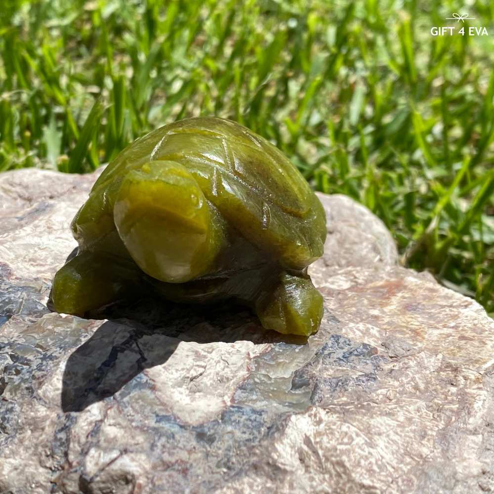 Green Jade Turtle