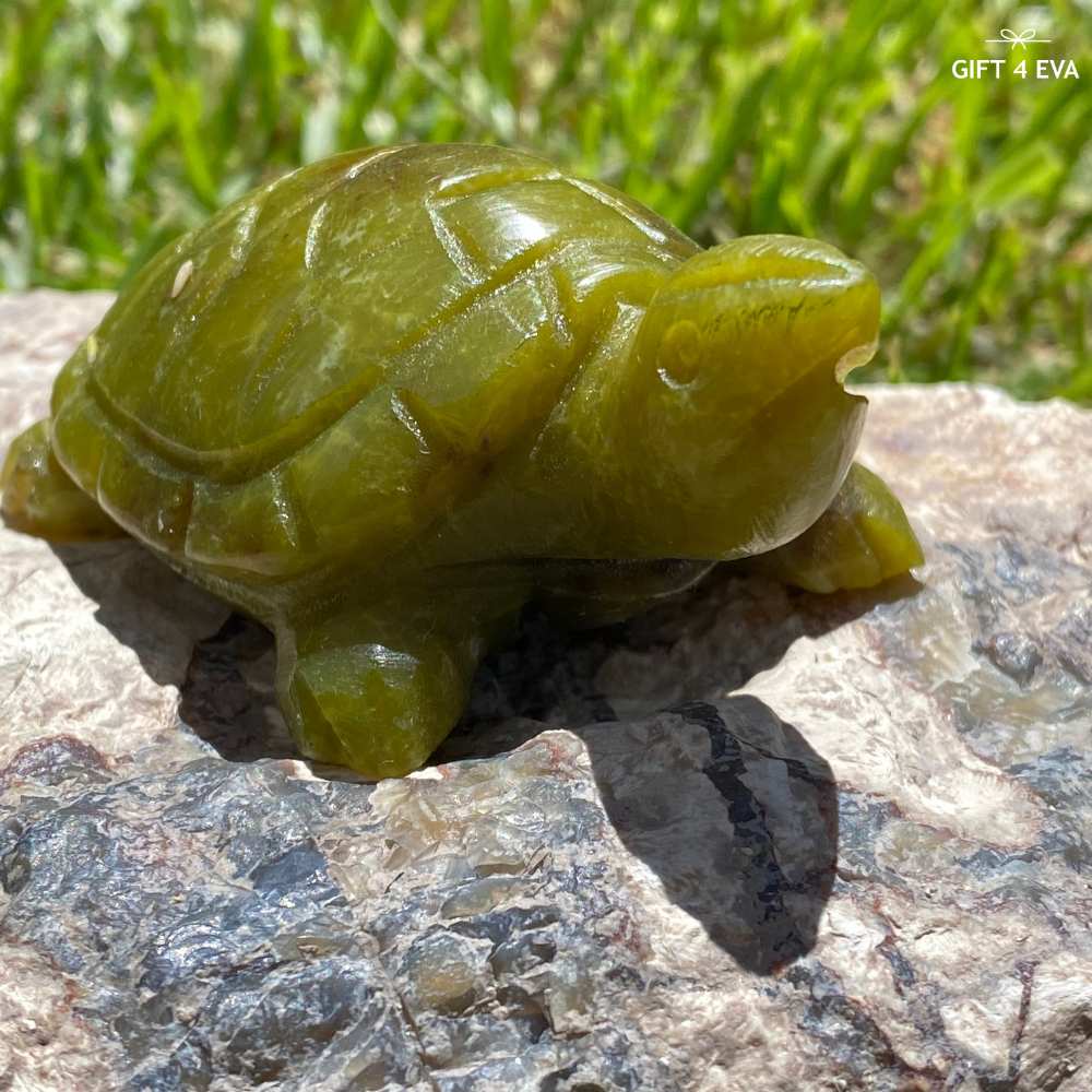 Green Jade Turtle