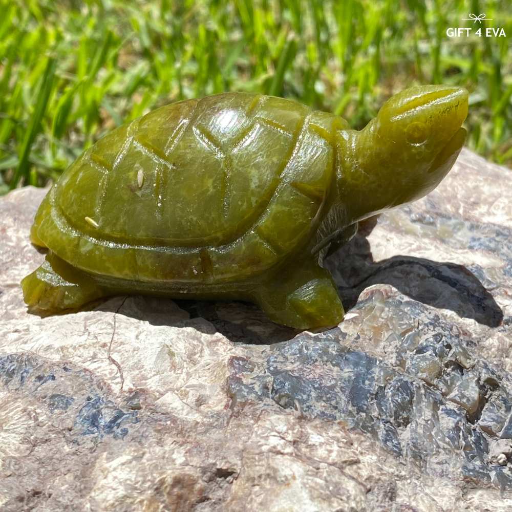 Green Jade Turtle