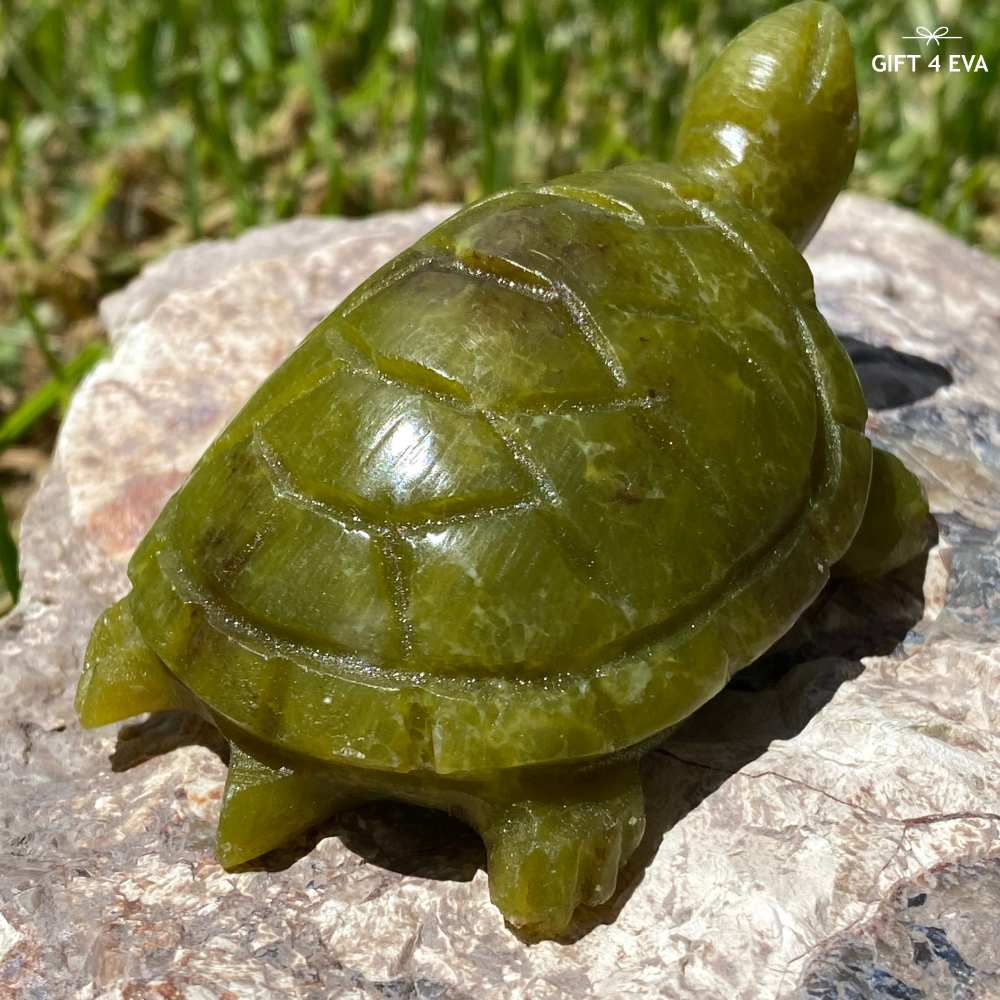 Green Jade Turtle