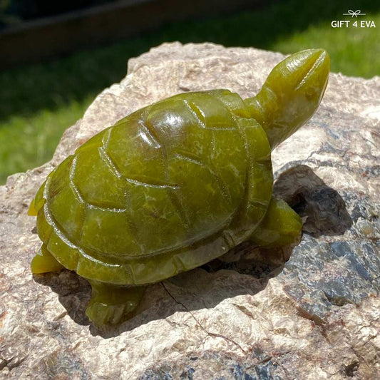 Green Jade Turtle