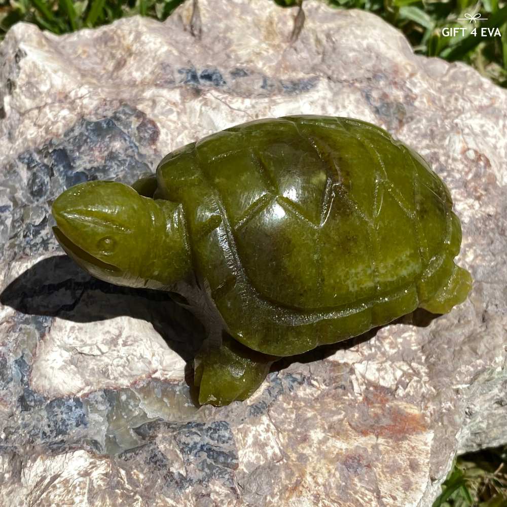 Green Jade Turtle