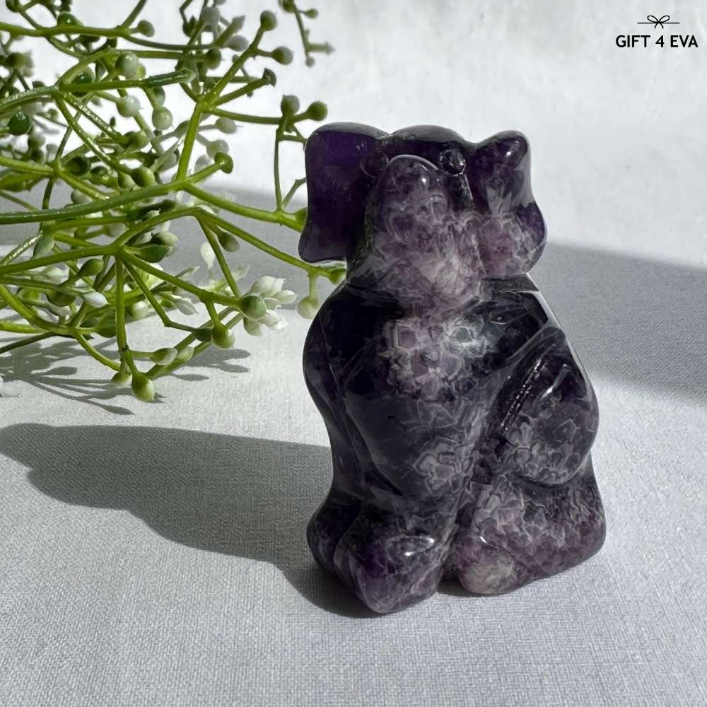 Amethyst Dog