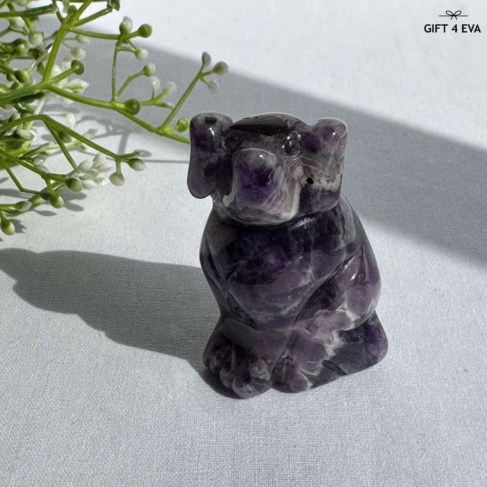 Amethyst Dog