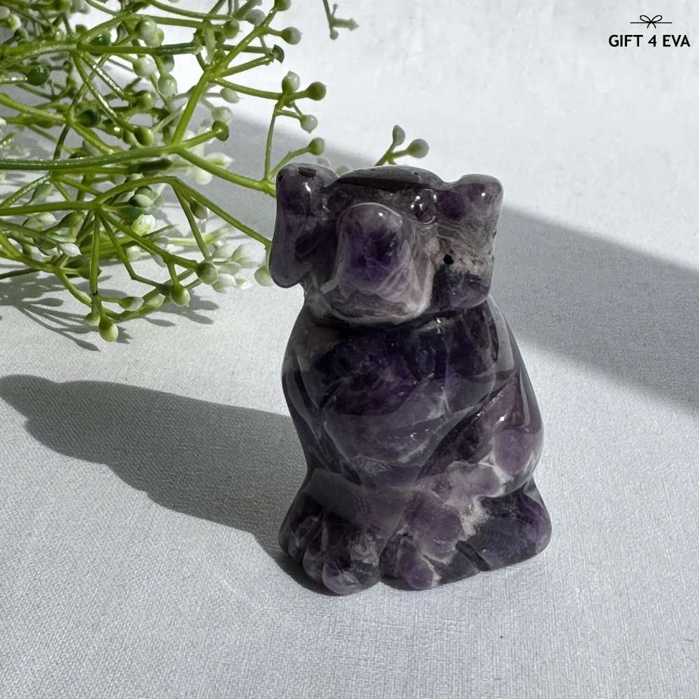 Amethyst Dog