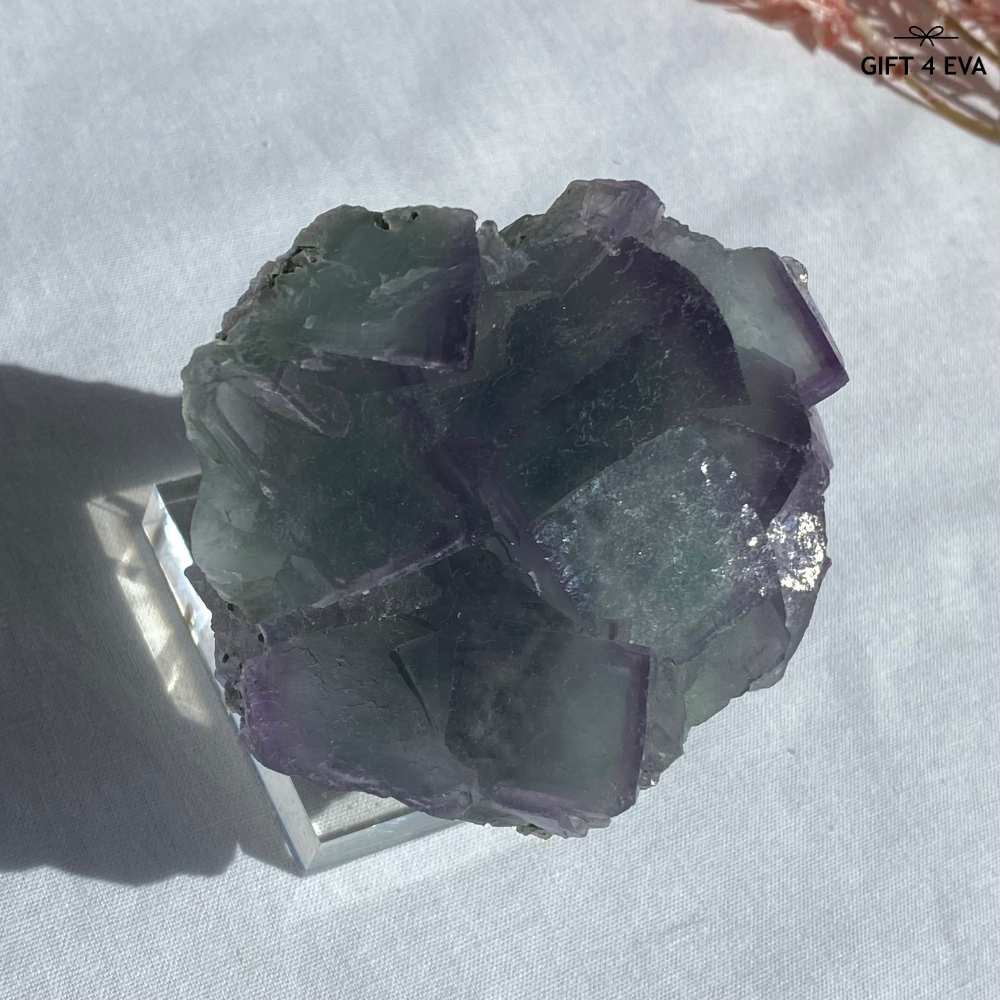 Fluorite Cube Cluster