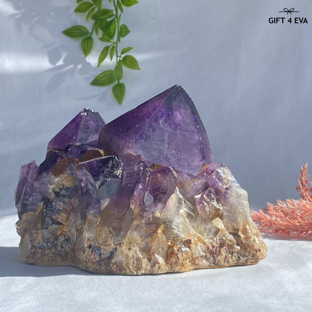 Amethyst Cluster