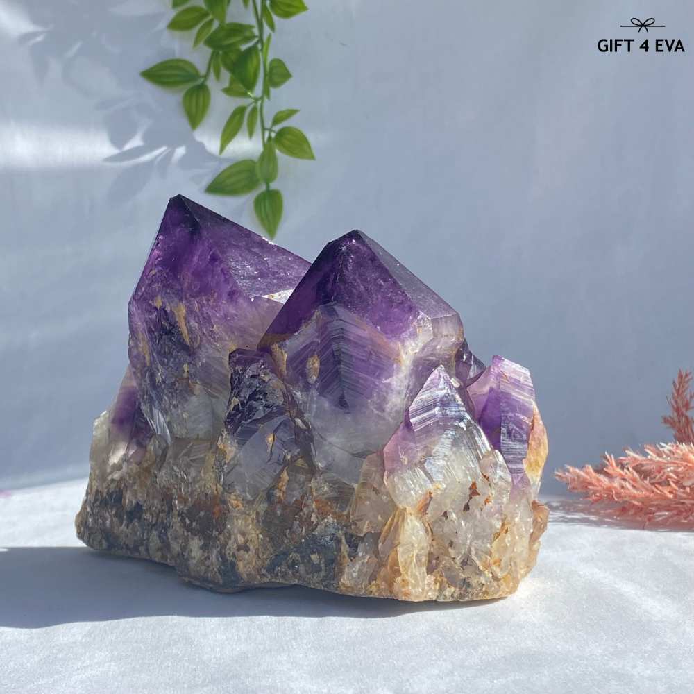 Amethyst Cluster