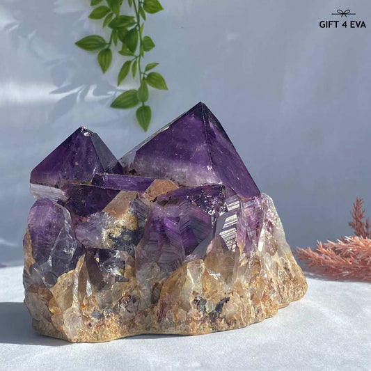 Amethyst Cluster