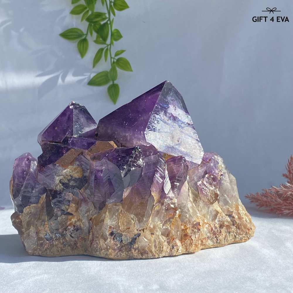 Amethyst Cluster