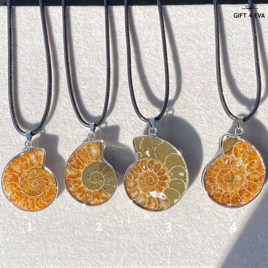 Ammonite Shell Pendant Necklace