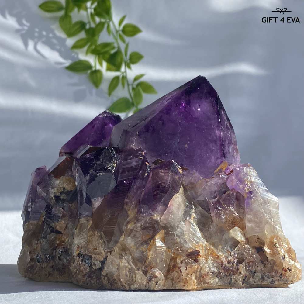 Amethyst Cluster