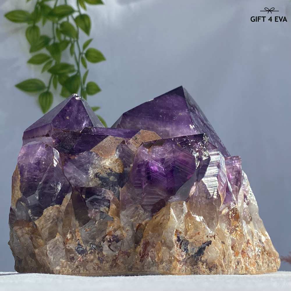 Amethyst Cluster